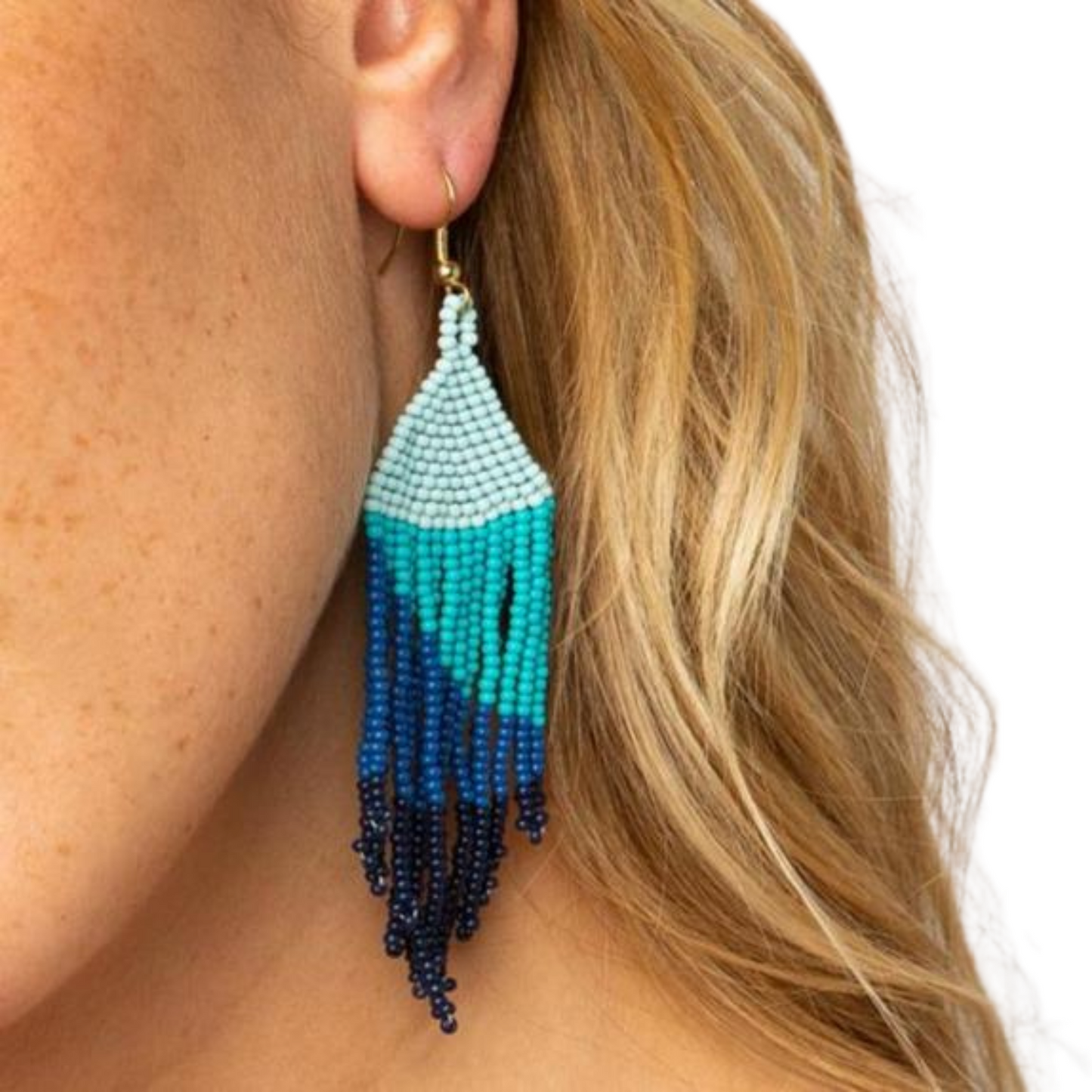 Gianna Ombre Fringe Earrings