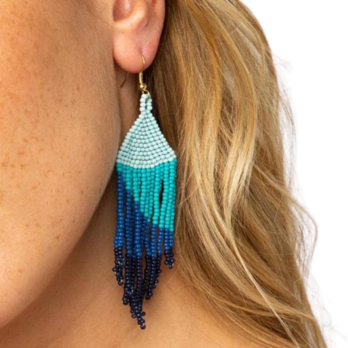 Load image into Gallery viewer, Gianna Ombre Fringe Earrings
