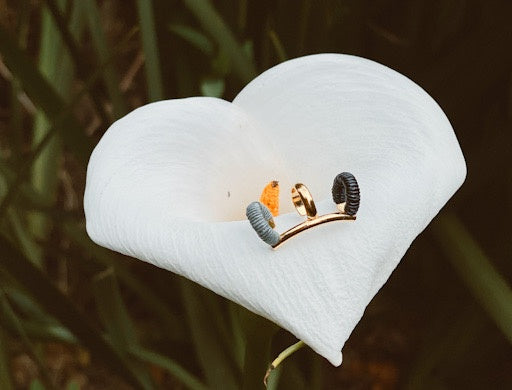 Jaca Ear Cuff