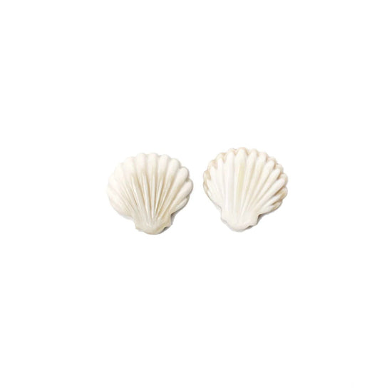 Seashell Stud Earrings